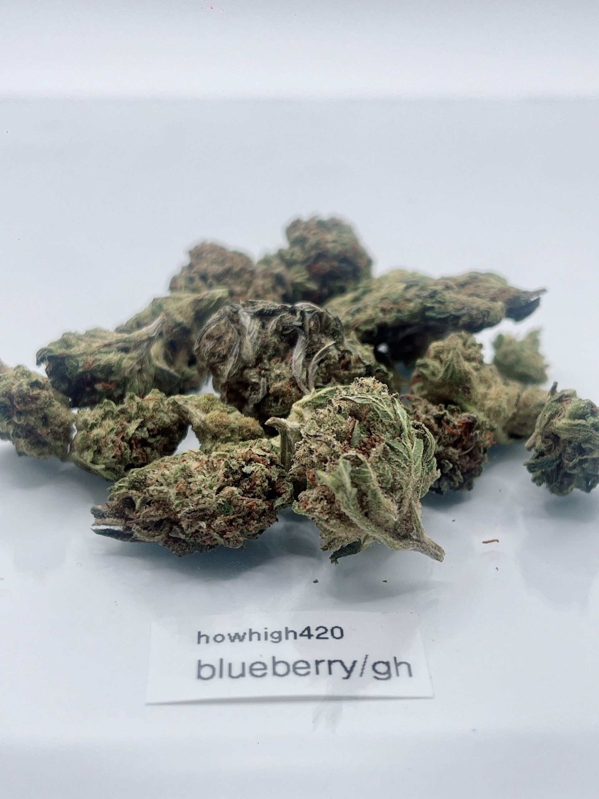 blueberry kush gh