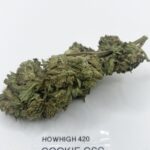girl scout cookies aa