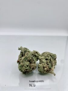 Hand-trimmed N9 AA indica cannabis flower buds displayed clearly for online shoppers searching for quality options near me.