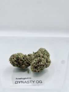 Dynasty OG AA cannabis flower buds shown in a clear display, suitable for shoppers browsing options near me.