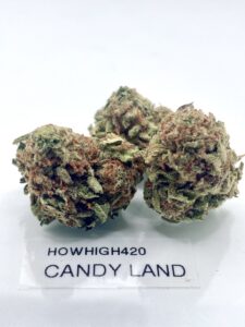CandyLand AA cannabis flower buds displayed in a product image for customers browsing cannabis flower near me.