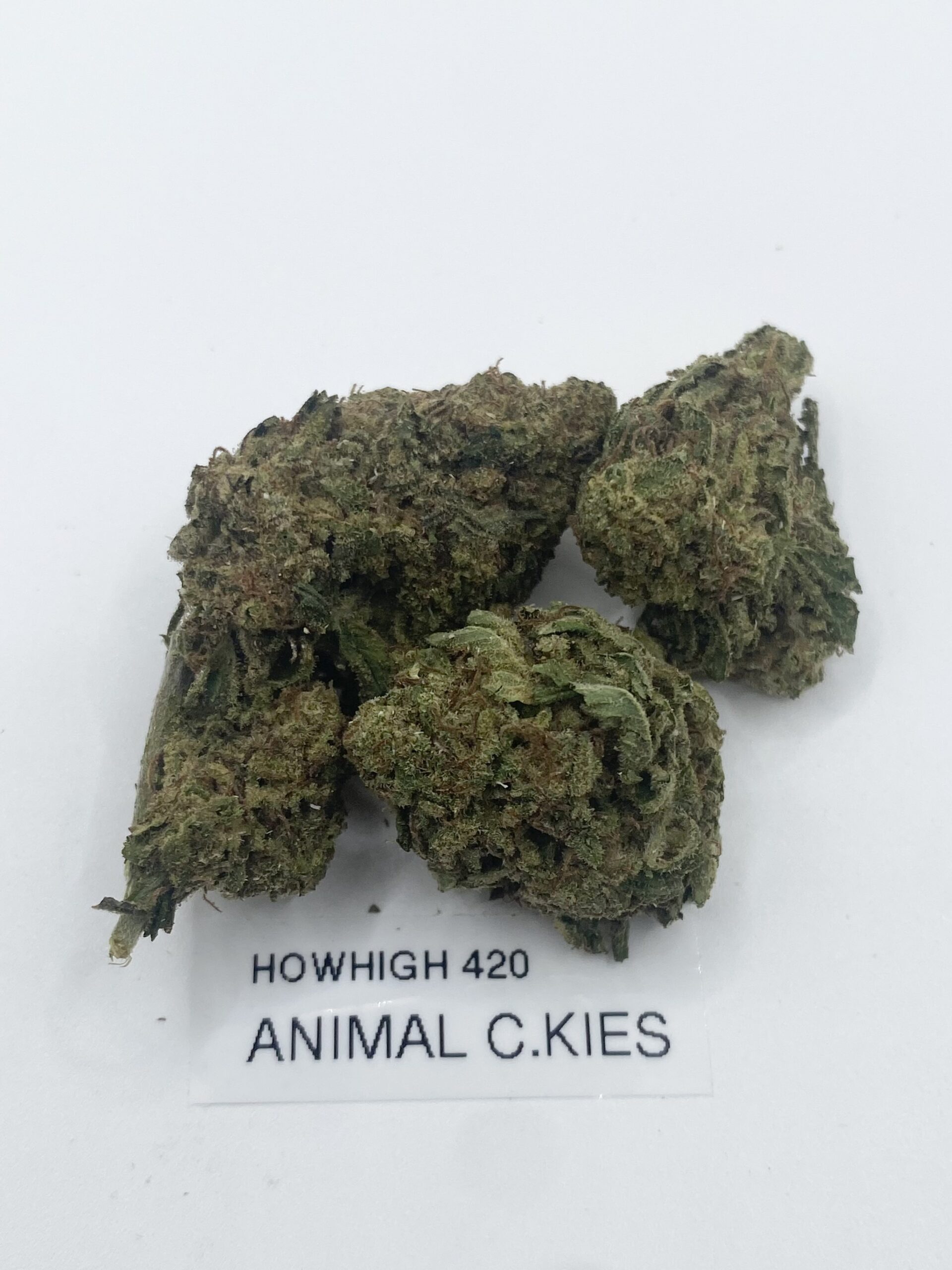 Animal Cookies AA