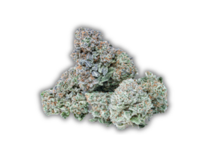Gary Payton AAA flower displays fluffy heart-shaped emerald-green buds with dark olive undertones, thin orange hairs, and sparkling white trichomes.