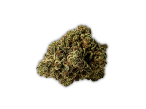 Gorilla Breath AAA flower displays oversized fluffy neon-green buds with light-orange hairs and bright-white crystal trichomes.