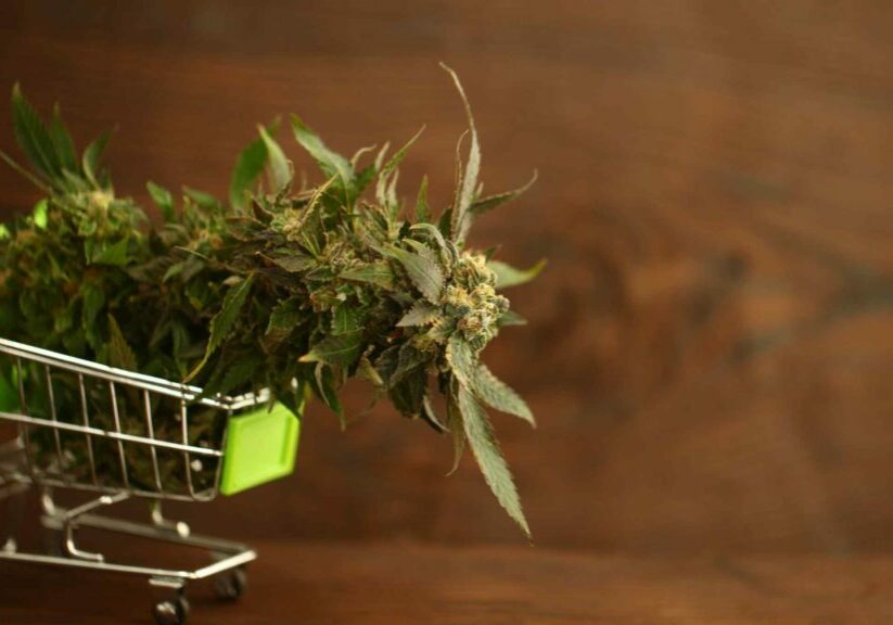 a taste of londons online dispensary scene top picks for weed lovers