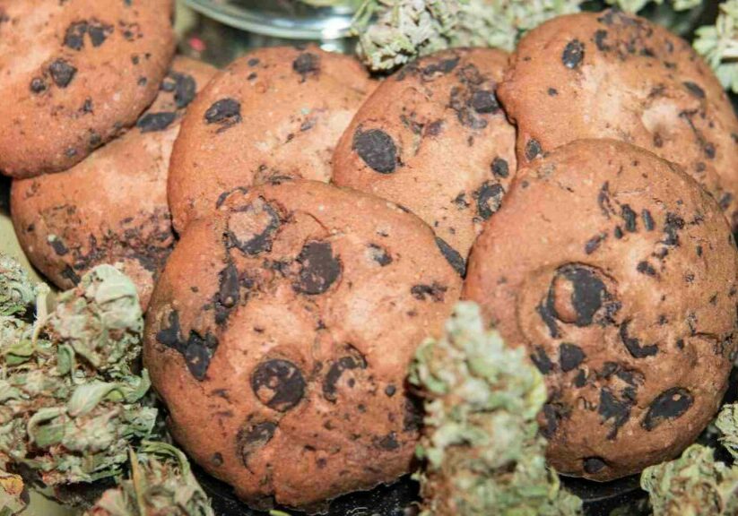 blonde hash the perfect ingredient for infusions and edibles