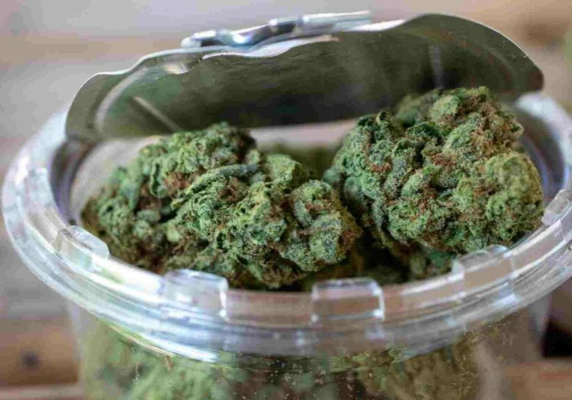 exploring the array of products at an online dispensary in brantford