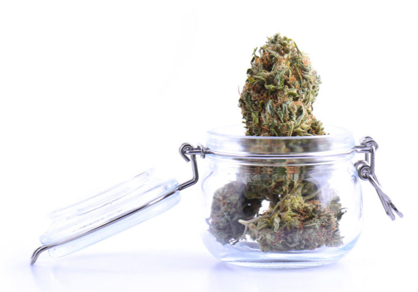 here is how to live healthy with cannabis in london here is how to live healthy with cannabis in london