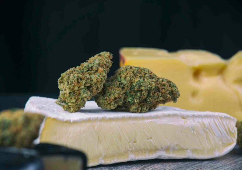 how your choice of strain can impact your edible experience in canada