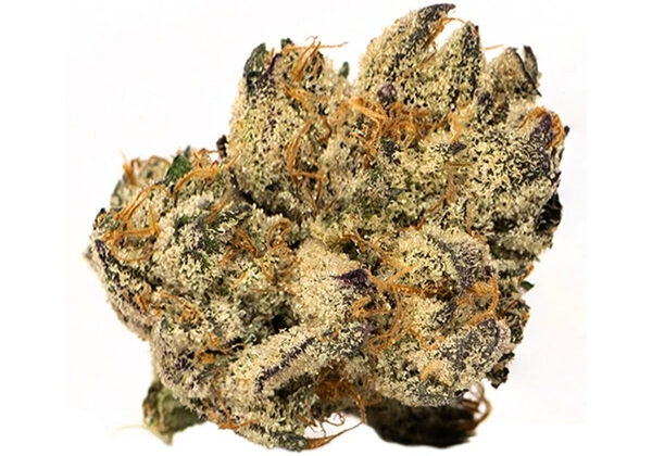 purple kush strain