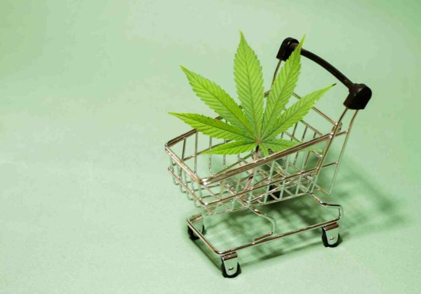 the-pros-and-cons-of-using-online-dispensaries-for-your-cannabis-needs-1024x576-landscape.jpg