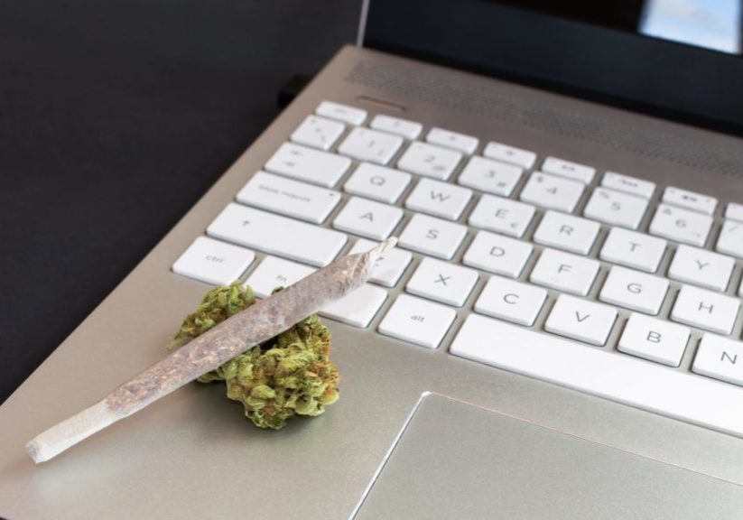tips for buying weed from an online weed dispensary in london