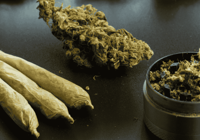 white widow strain review 2025